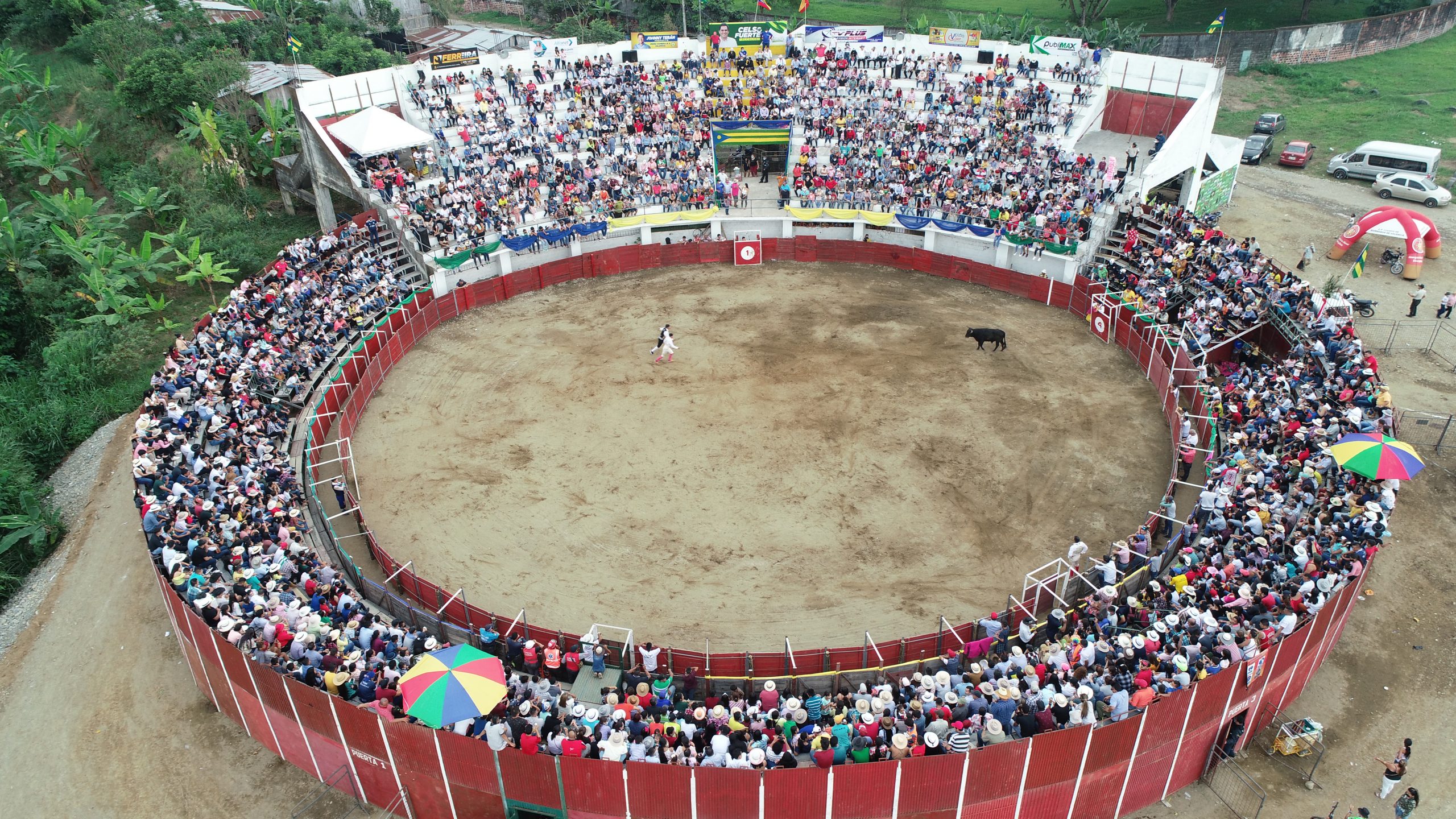 Valenciana Taurina